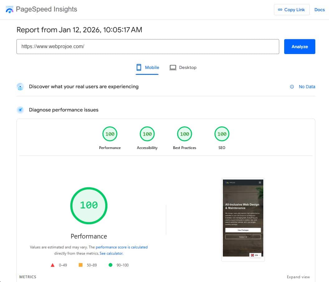 PageSpeed Insights score of 100 for webprojoe.com